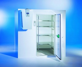Холодильная и низкотемпературная камера Viessmann